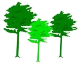 Forest Practice Logo